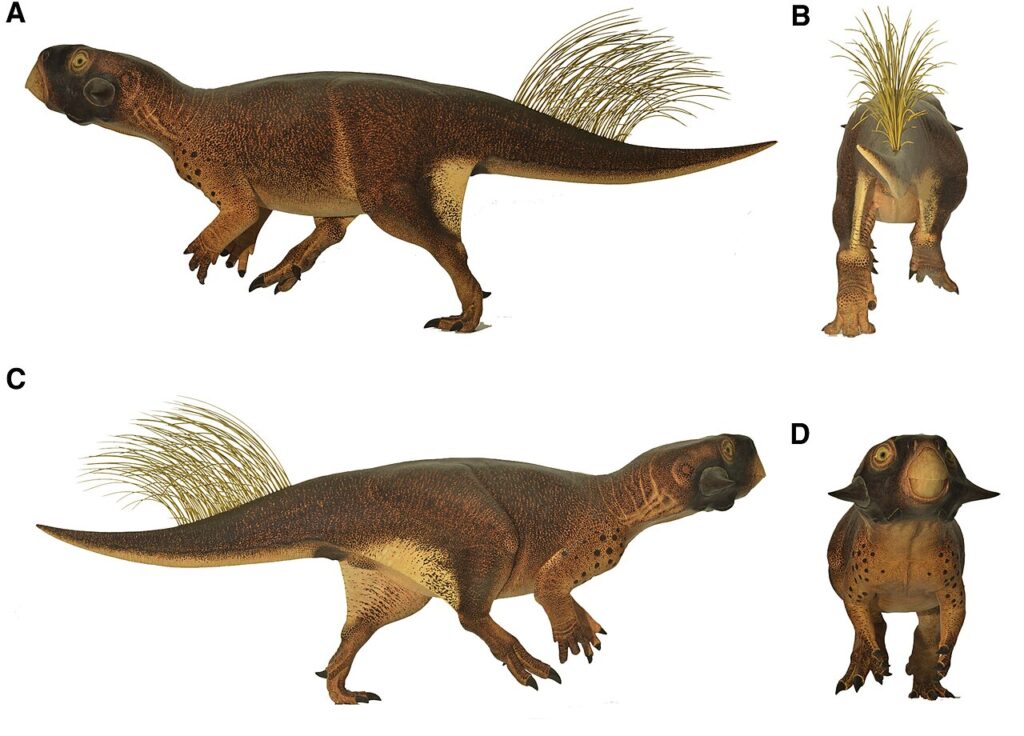 Psittacosaurus