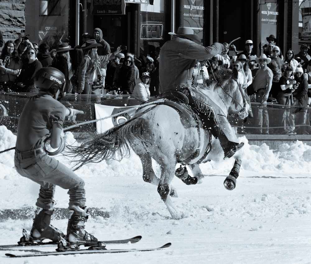 skijoring