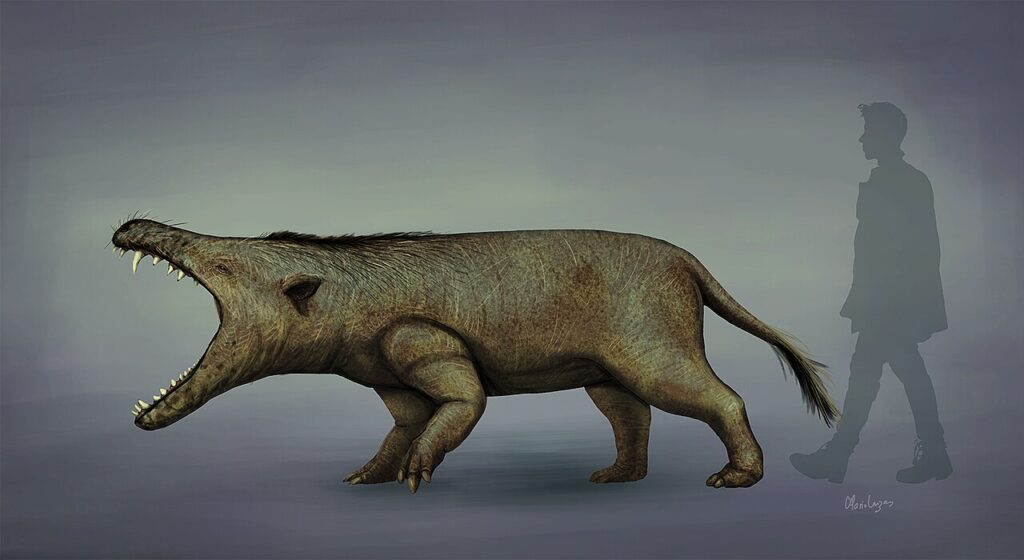 Andrewsarchus