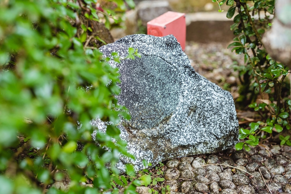 outdoor speaker camouflage