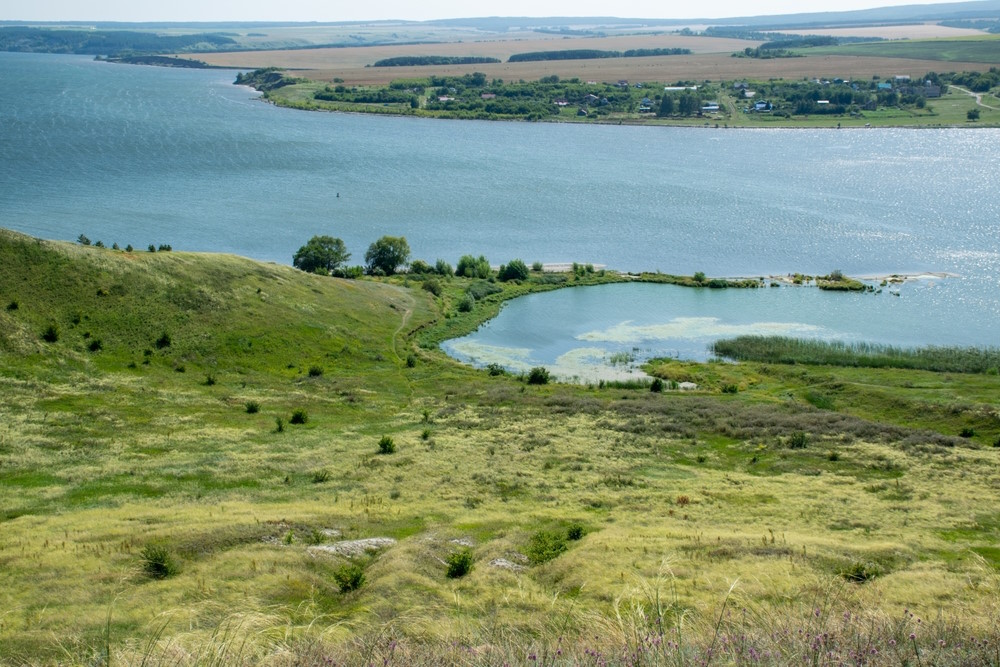 wolga