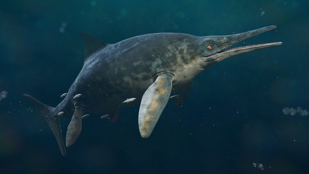 Ichthyosaurus