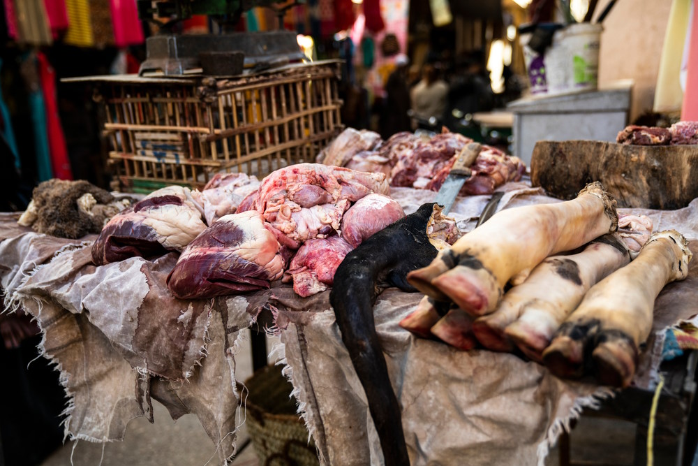 Bushmeat