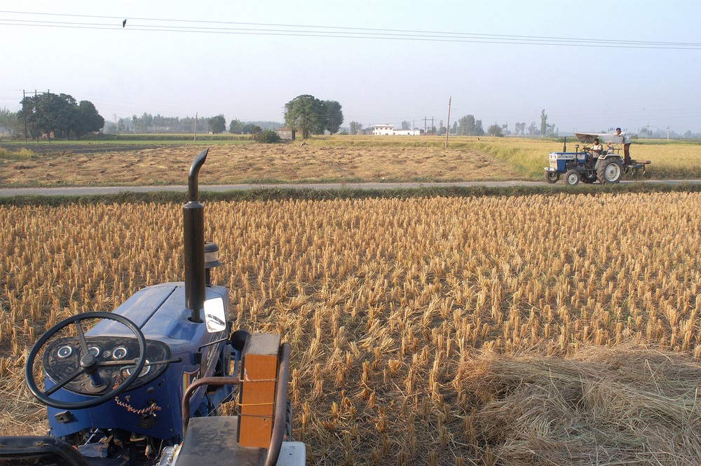 punjab