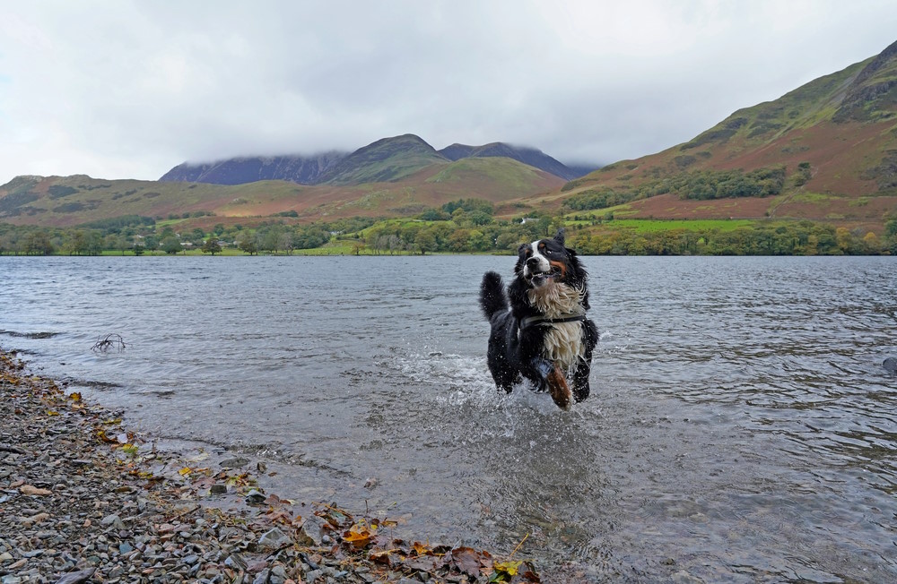 Lake District