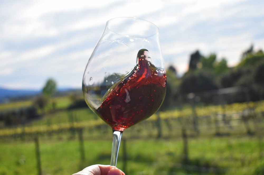 Pinot Noir