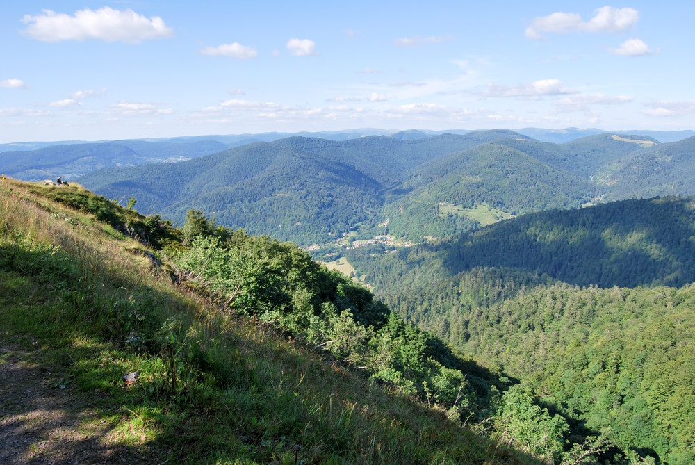Vogezen