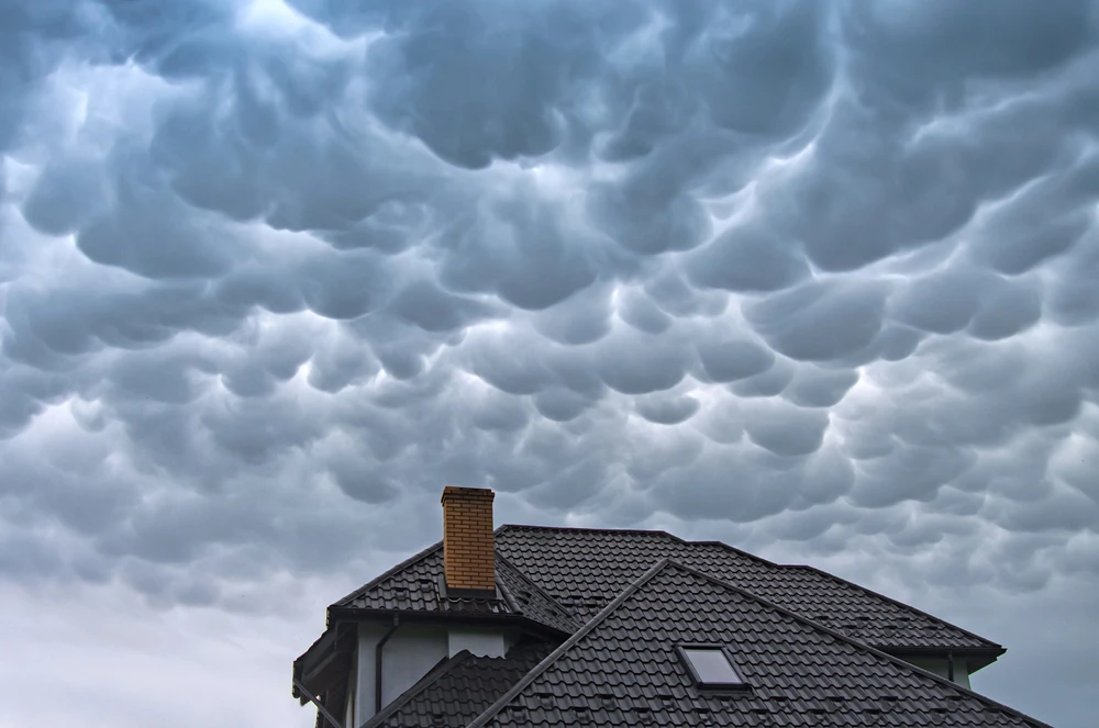 Mammatus