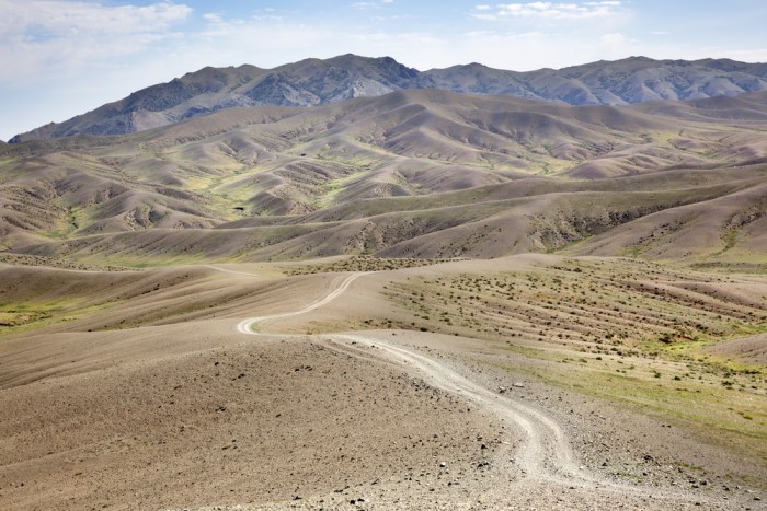 Gobi