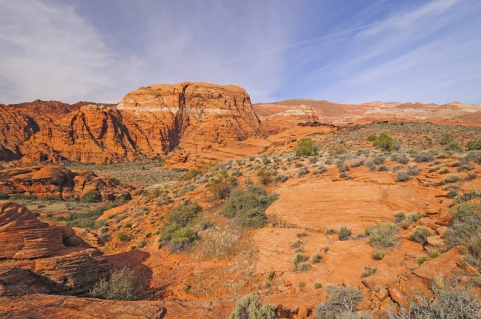 Great Basin Desert
