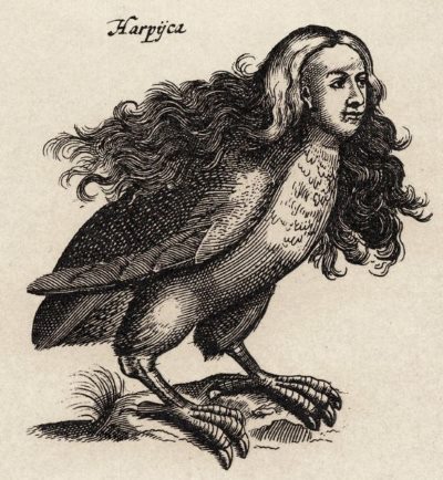 Harpijen