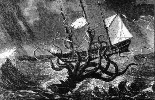 Kraken Kraken