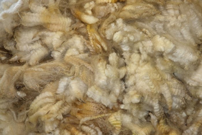 Lanolin