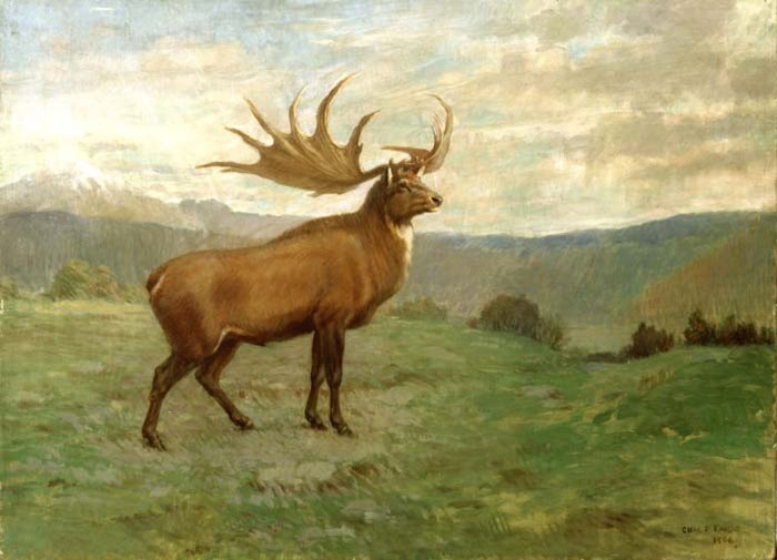 Reuzenhert