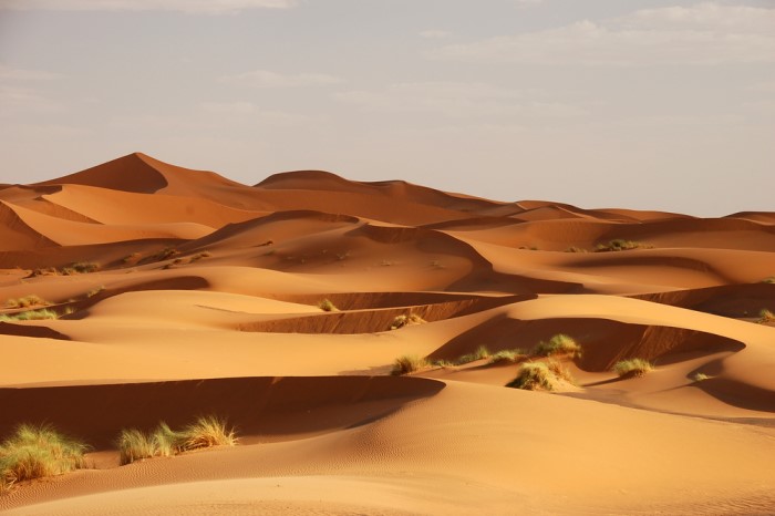 Sahara