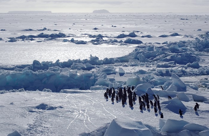 Antarctica