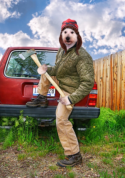 hond met bijil