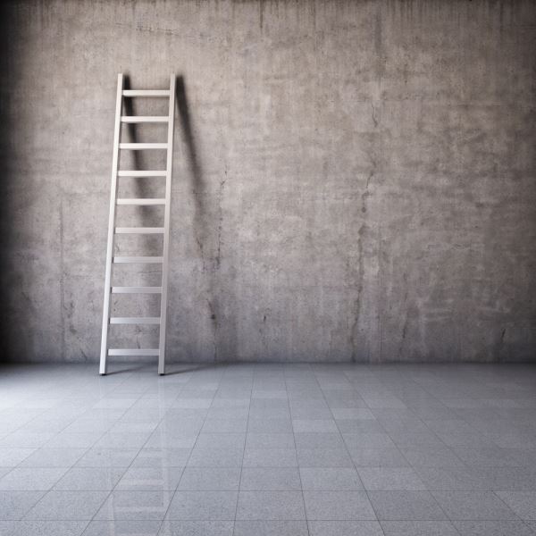 ladder