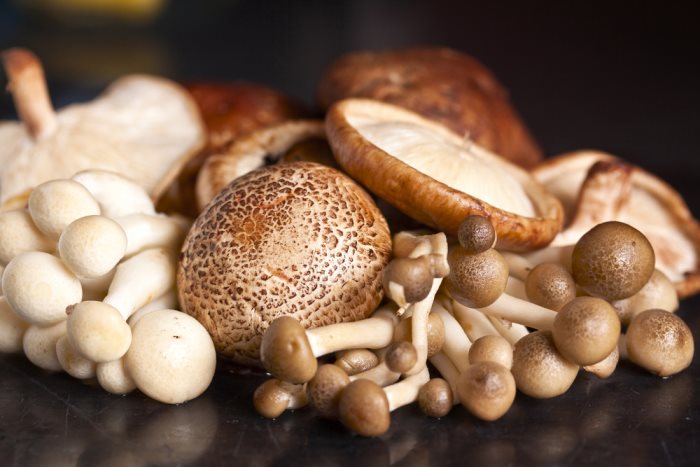 paddenstoelen