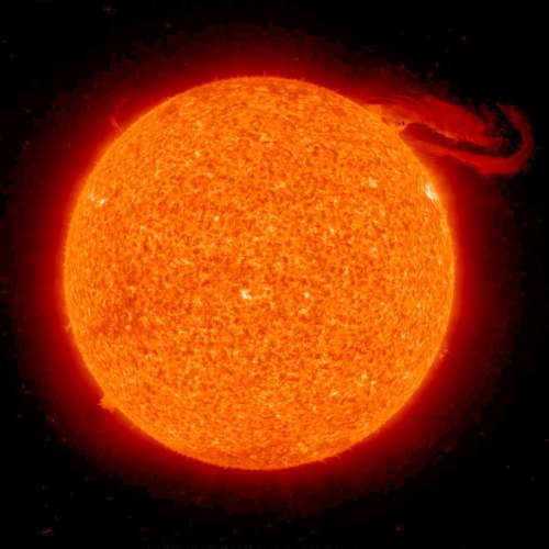 zon